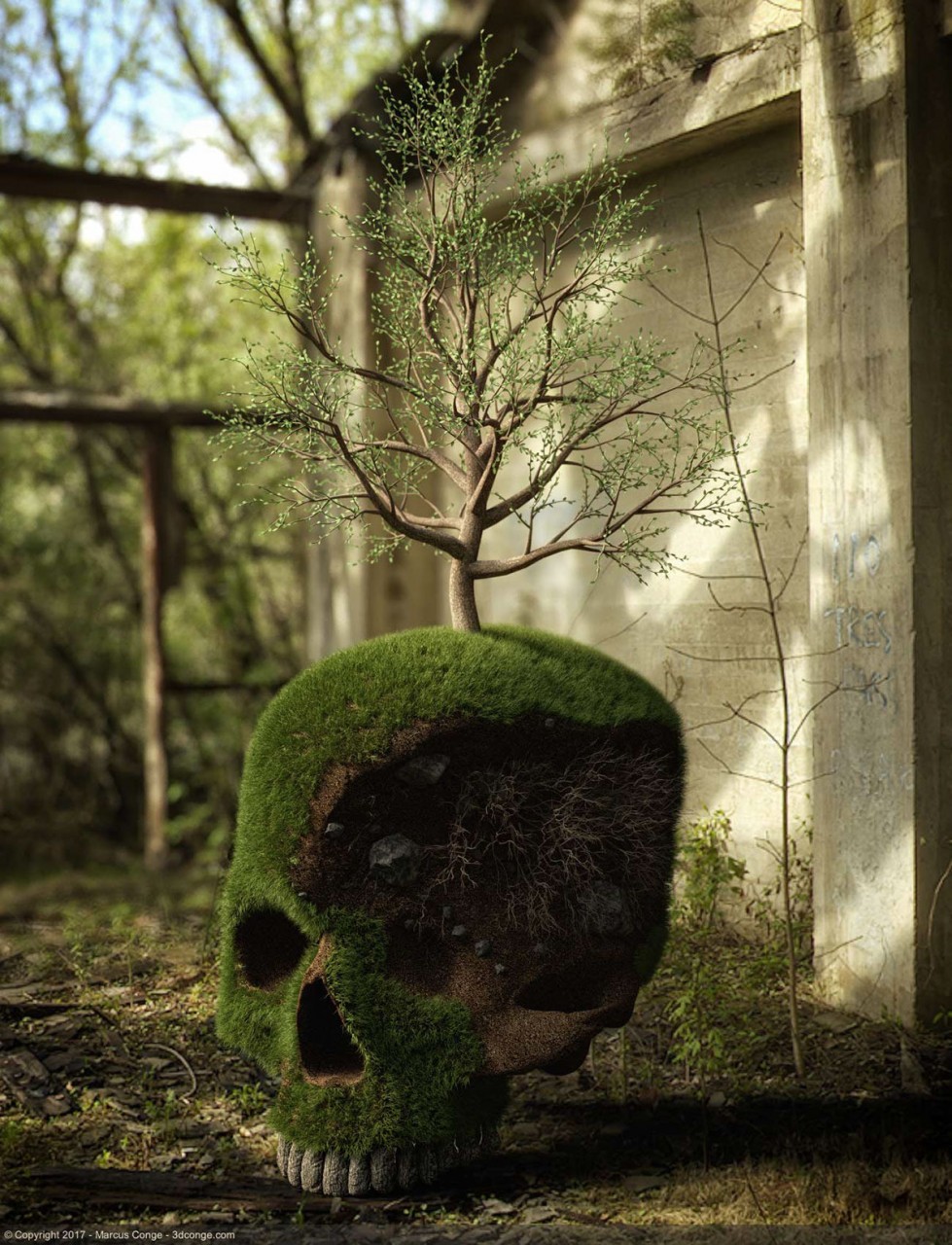 tumblr_oq489rwWXZ1rg590io5_1280.jpg tumblr_oq489rwWXZ1rg590io5_1280.jpg
