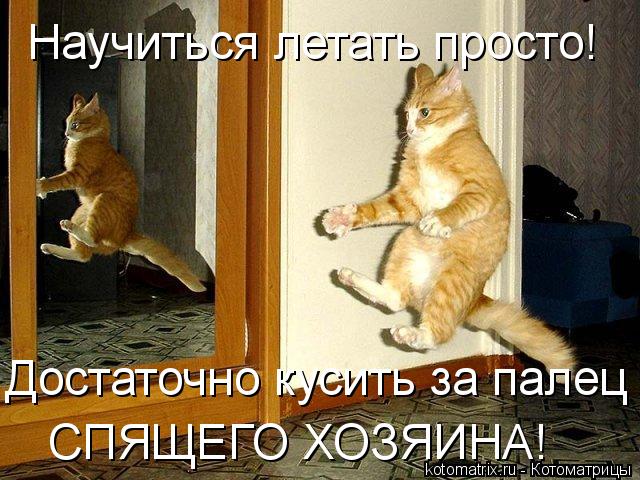 Котоматрица - Научиться летать просто! Достаточно кусить за палец 
СПЯЩЕГО ХОЗЯИНА!