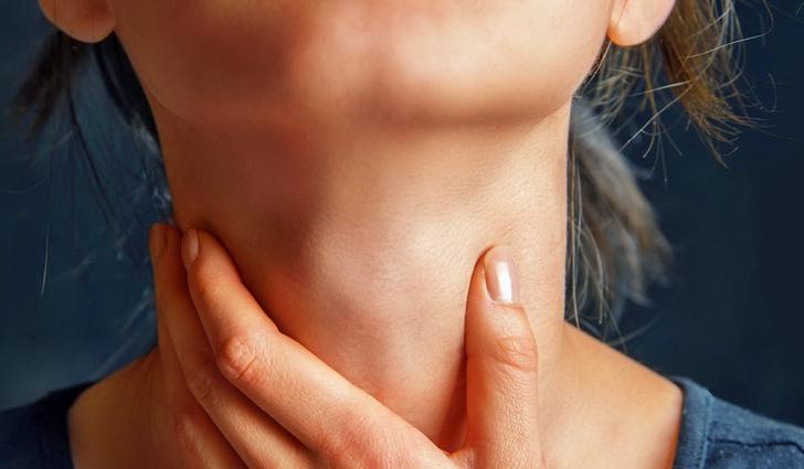 Лечебные свойства золотого уса Лечебные свойства золотого уса