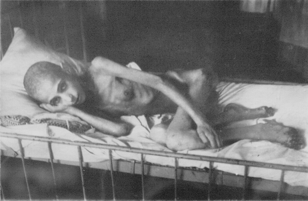 Оболганная блокада Ленинграда