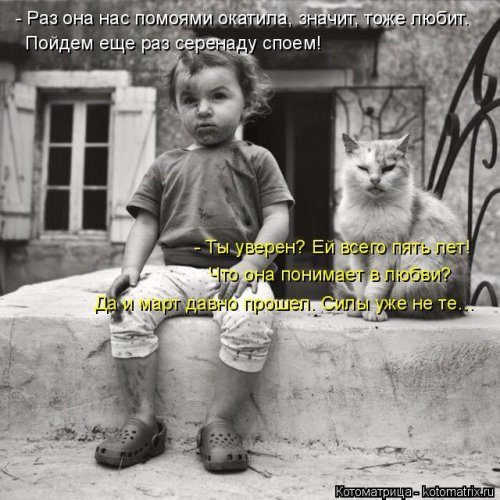 Самая убойная котоматрица Самая убойная котоматрица