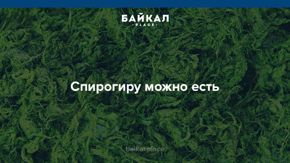 5 неожиданных фактов про озеро Байкал байкал, девушки, интересно