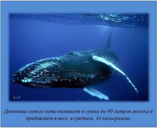 ������������ ����� �����, � ����, ���������