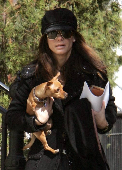 3455057_sandra_bullock_with_her_dogs_leaving_her_townhouse_in_soho02_122_538lo (506x700, 263Kb)
