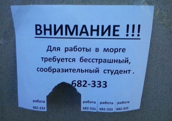 Фантазия и креативность некоторых индивидов порой поражает Фантазия и креативность некоторых индивидов порой поражает