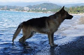 фотография Наталья Козырева.