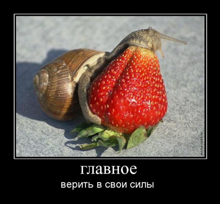 Анекдотики коротенькие, но симпатишные, как раз на середину недели. Оторвитесь ужо от работы!