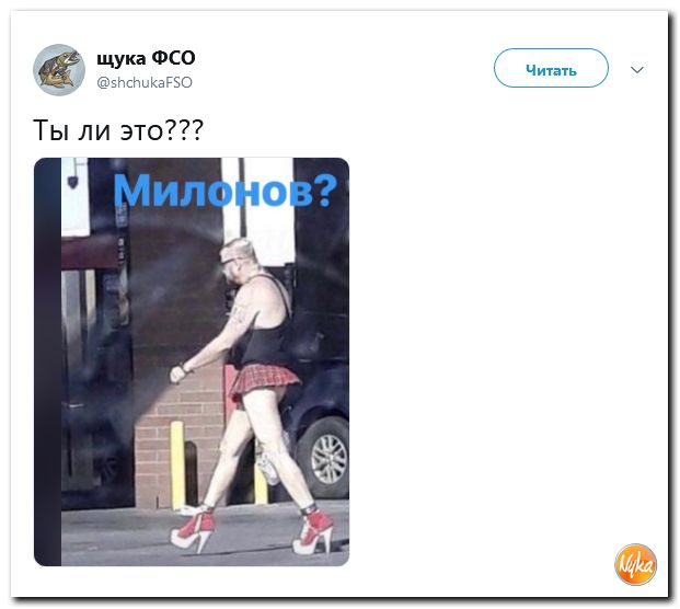 Обзор ситуации в мире с сарказмом и ехидной улыбкой Обзор ситуации в мире с сарказмом и ехидной улыбкой
