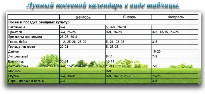 Режим работы сбербанка в петрозаводске в выходные