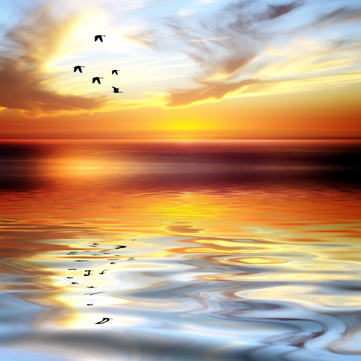  Exquisiteness Time  Josep Sumalla  500px