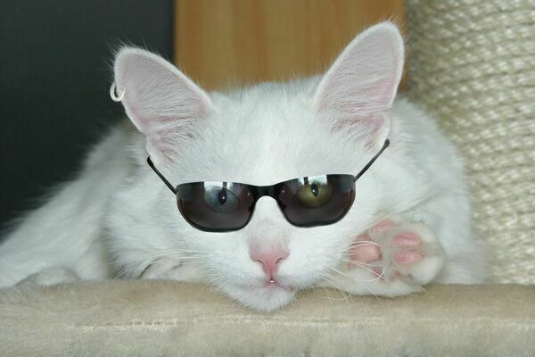 Картинка 36 из 23139