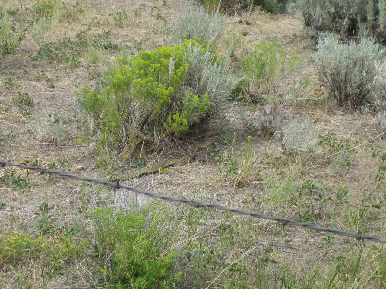 Памятники и национальные парки Америки 19 век, Wyoming, история