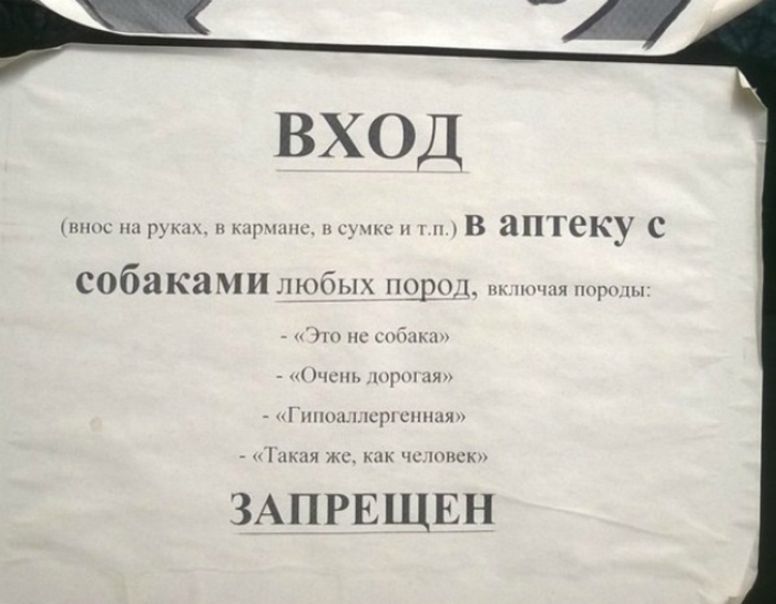 «А про котов ничего не сказано, значит можно!?» «А про котов ничего не сказано, значит можно!?»