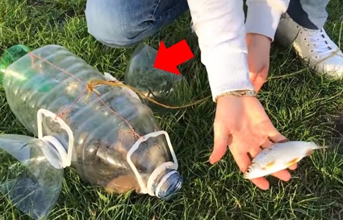 Как сделать ловушки для рыбы Как сделать ловушки для рыбы