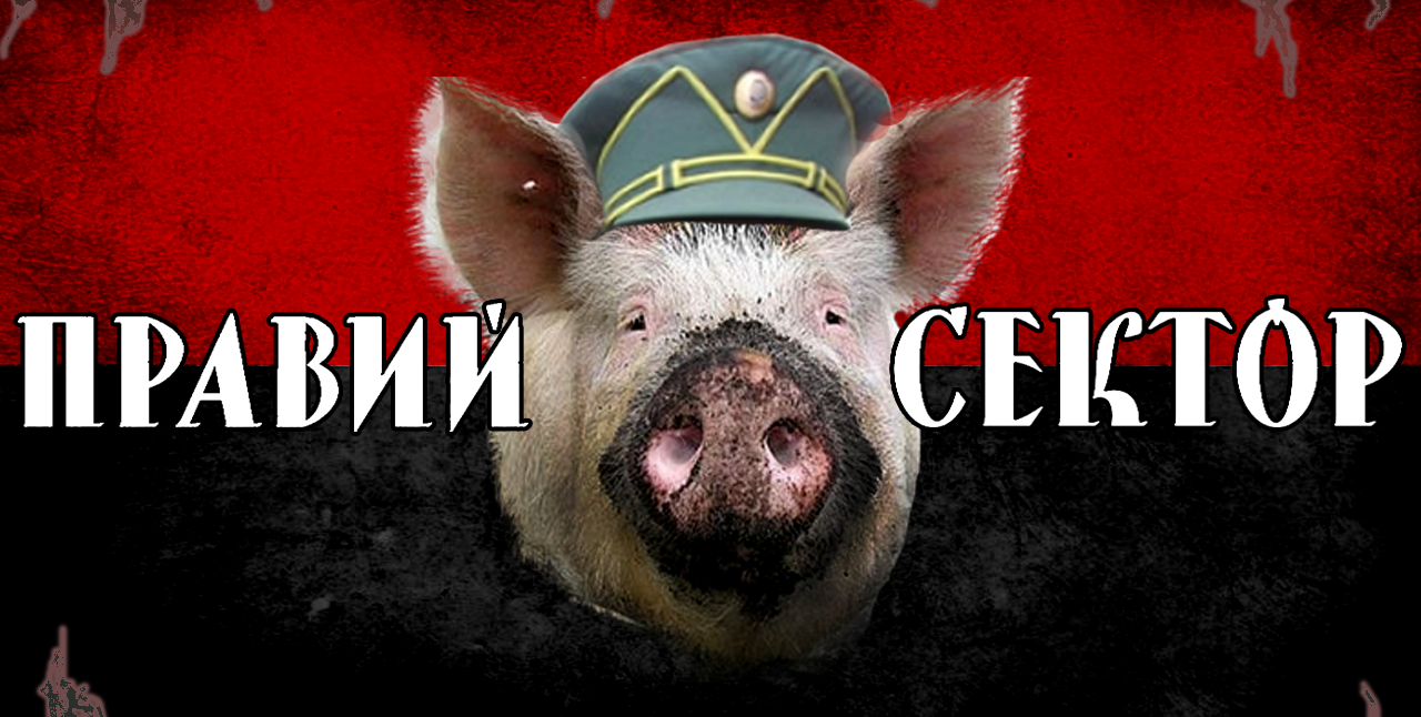 Год Свиньи - год Украины Год Свиньи - год Украины