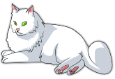 cat1.png cat1.png