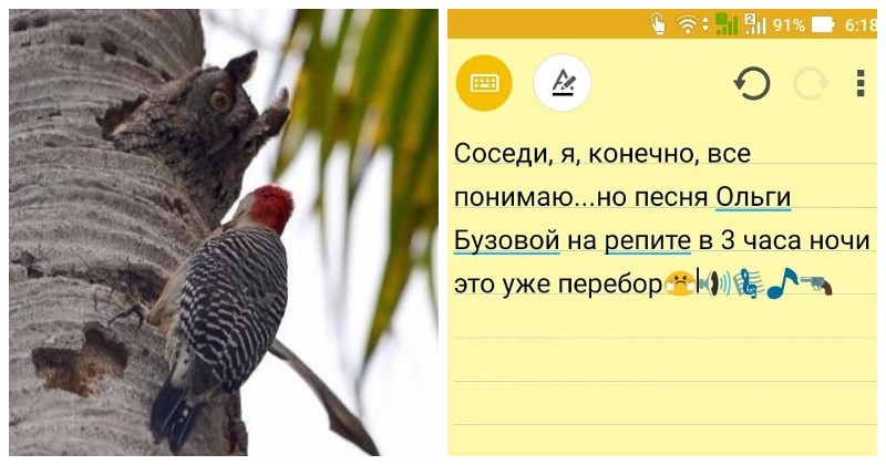 Соседство выносящее мозг Соседство выносящее мозг
(16 фото)