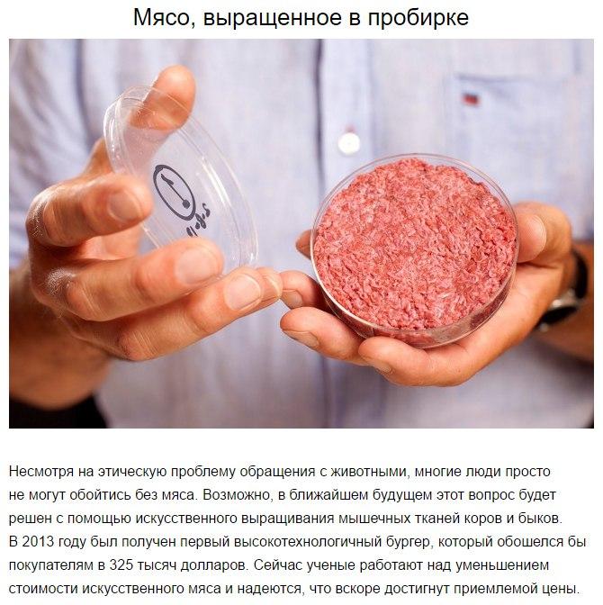 Продукты будущего сейчас