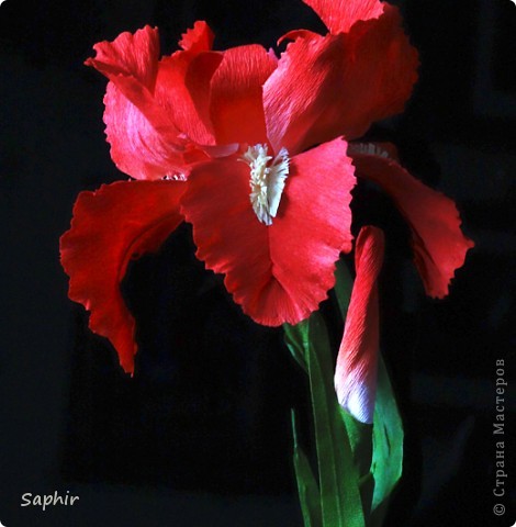 Поделка изделие Бумагопластика Квиллинг ИРИС Бумага гофрированная фото 7