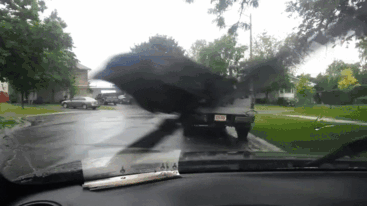 Crow Gives No Fcks