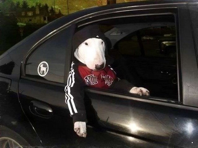 Автовсячина Автовсячина Автовсячина, авто, автомобиль, автоприкол, машина, прикол