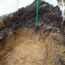 ������������ ������� ����� ������. ������� ������� ���� ������