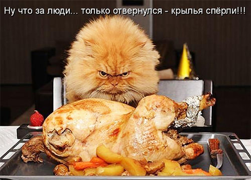 Котоматрицы с кулинарным уклоном 18 Котоматрицы с кулинарным уклоном 18