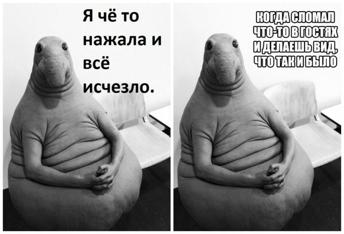 Откуда взялся ждун — история скульптуры ставшей мемом