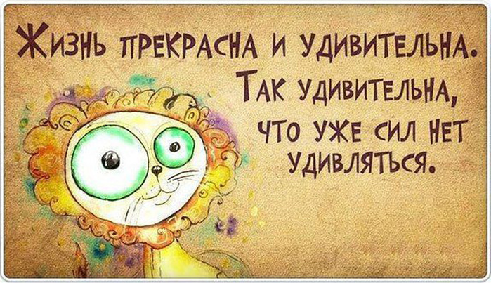 Услышанное - подслушанное, мысли и разговоры о жизни...)