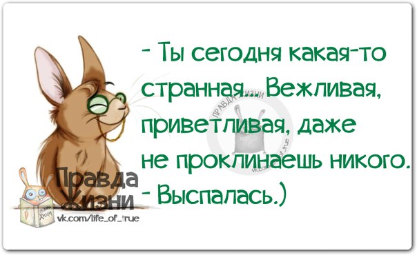 Прикольные картинки со смешными подписями, которые вызовут улыбку и поднимут настроение!