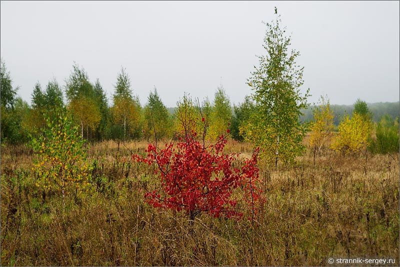 ��������� �����