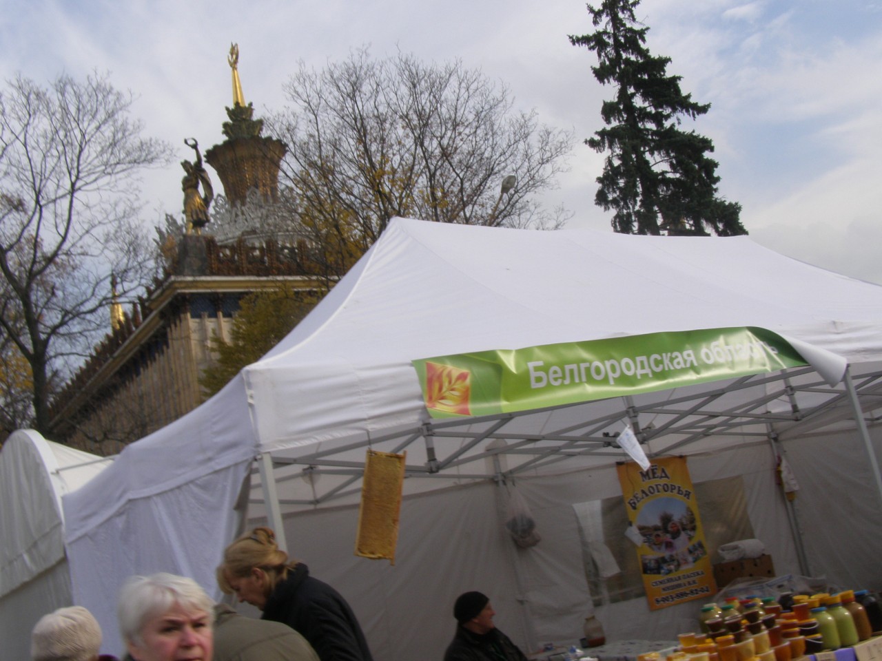 Прогулки по Москве. Осень на ВДНХ. Прогулки по Москве. Осень на ВДНХ 2014.