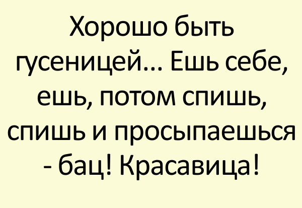 Невыдуманные короткие жизненные рассказы с просторов интернета, которыя поднимут настроение… Невыдуманные короткие жизненные рассказы с просторов интернета, которыя поднимут настроение…