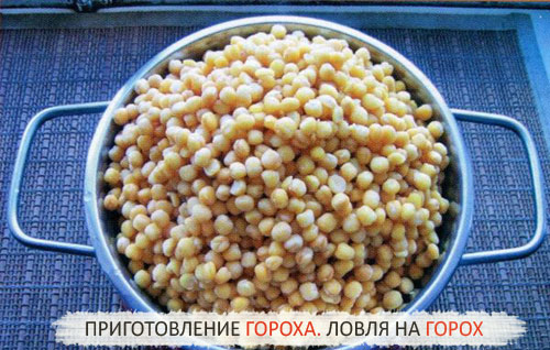 как варить горох для ловли как варить горох для ловли