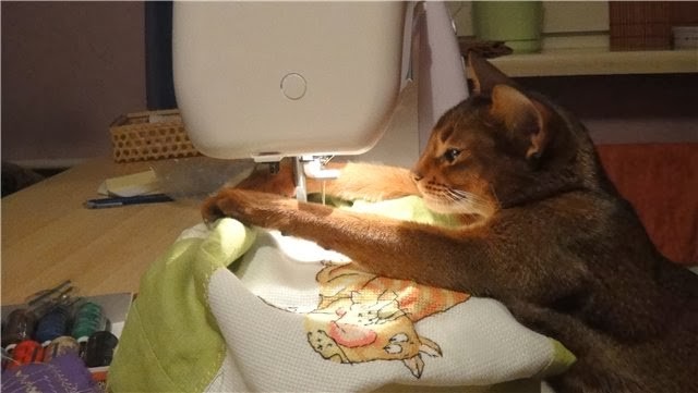 2.         , , 