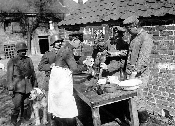 25 редчайших исторических снимков… Посмотри на мир под совершенно другим углом! 25 редчайших исторических снимков… Посмотри на мир под совершенно другим углом!