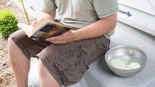 Как выжать максимум пользы из обычного лука Как выжать максимум пользы из обычного лука