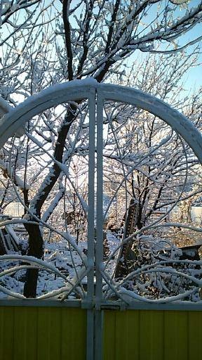 Зима на улице — весна на подоконнике Зима на улице — весна на подоконнике