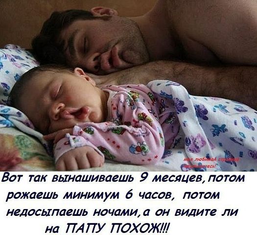 3416556_getImage_3_1_ (525x480, 56Kb)