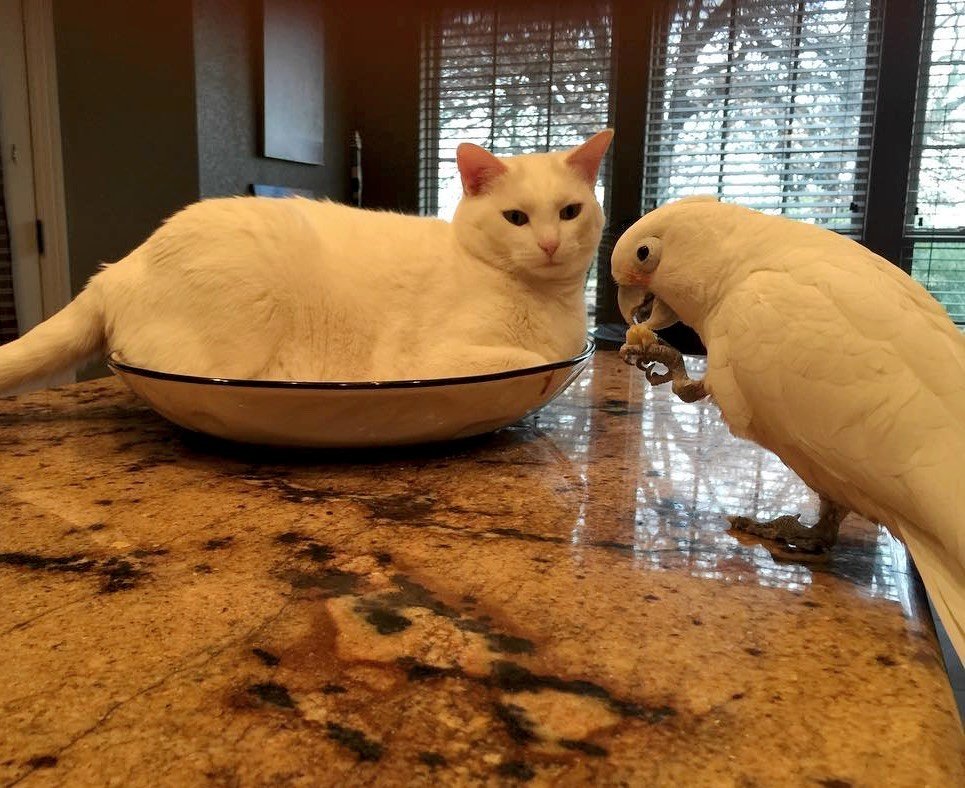 Ðез коÑа и Ð¶Ð¸Ð·Ð½Ñ Ð½Ðµ Ñа