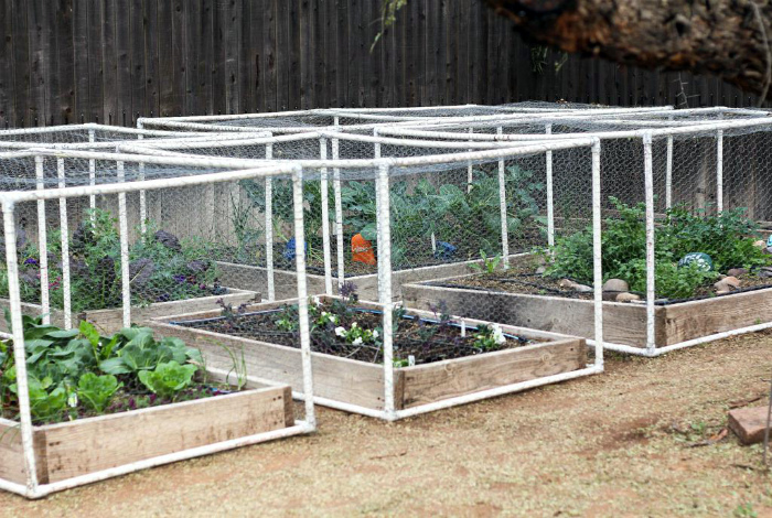 Защита грядок.| Фото: Gardening: Flower and Vegetables. Защита грядок.| Фото: Gardening: Flower and Vegetables.