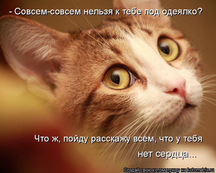 Котоматрица - - Совсем-совсем нельзя к тебе под одеялко? Что ж, 
пойду расскажу всем,