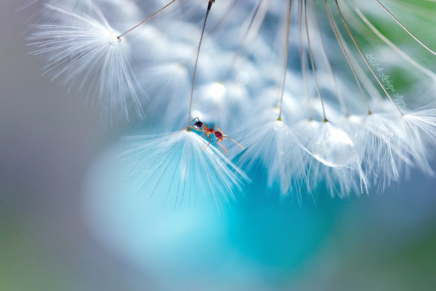 10 ������ ��������������� 2014 ���� �� ������ ����� 500px