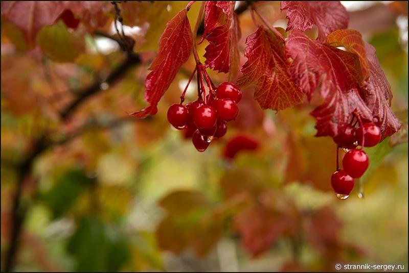 ��������� �����