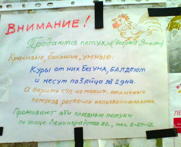 Может замуж взять одного из них... Тем более, из него всегда можно сварить вкусный суп! Может замуж взять одного из них... Тем более, из него всегда можно сварить вкусный суп!