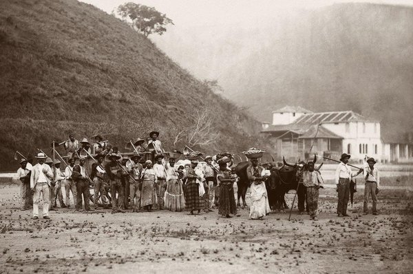 Рабы на кофейной ферме в Рио де Жанейро, Бразилия, 1885 год (Instituto Moreira Salles)