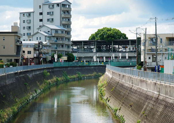 train-station-700-year-old-tree-kayashima-japan-6