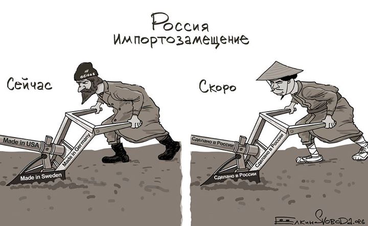 О российском импортозамещении: диагноз, с которым не живут