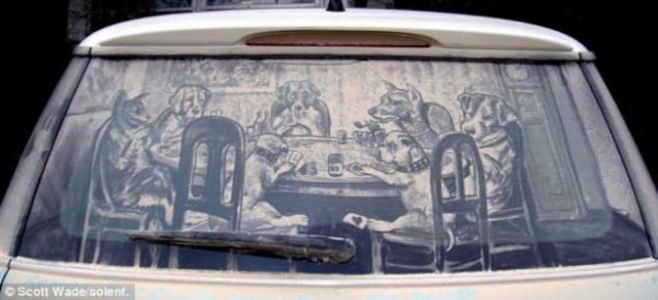 Удивительное грязевое искусство на окнах (9 фото)