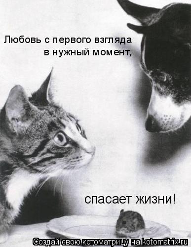  -       ,  !